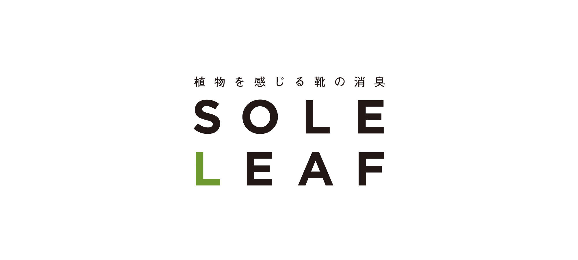 soleleaf_02.jpg