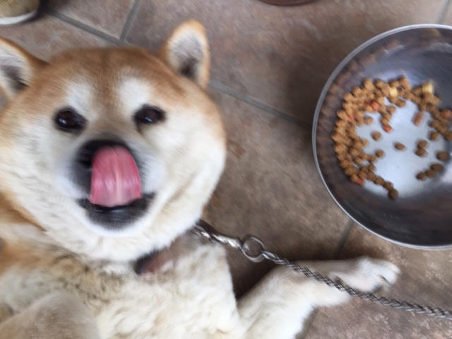 時の流れは結構早いのね Abledesign Website 長野 松本 東京のグラフィックデザイン Webサイト制作会社